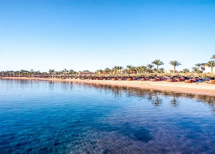 Jaz Neo Saraya Palms Resort 4*