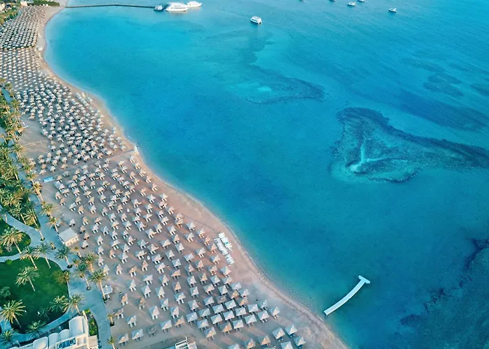 Jaz Neo Saraya Palms Resort 4*