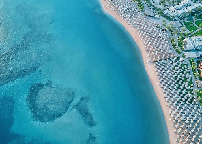 Resort Jaz Neo Saraya Palms 4*
